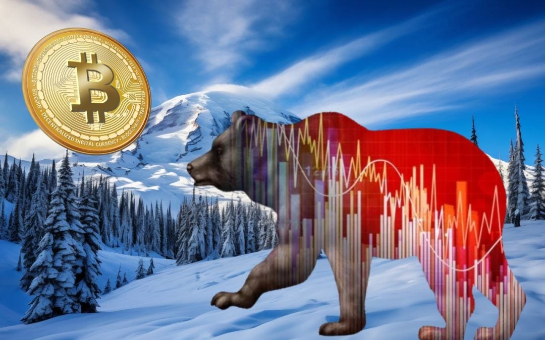 Has Crypto Winter Arrived For Bitcoin As Major Tokens Plunge into Bear Territory