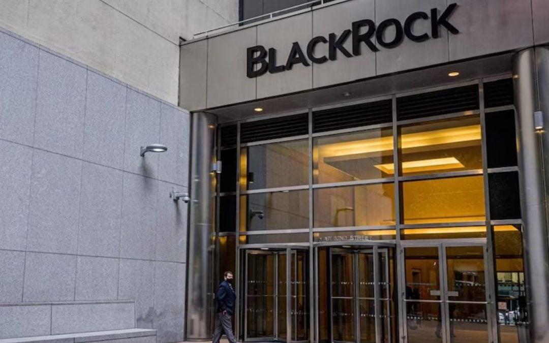 Stock in Focus: BlackRock invested in India’s largest solar module manufacturing firm