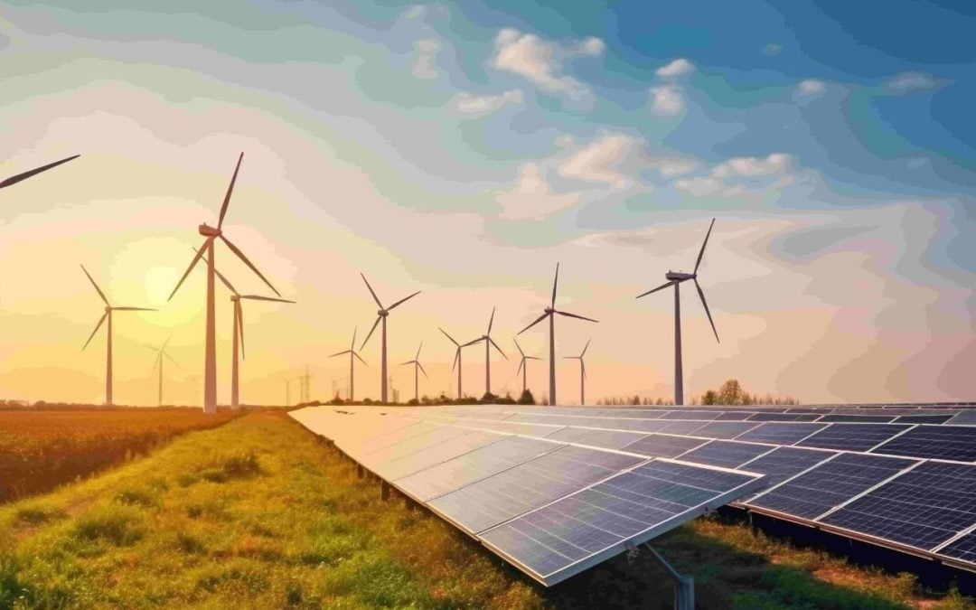 Best Green Energy Stocks With High FII Holdings – List & Insights